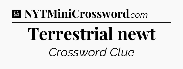 Terrestrial newt - LA Times Crossword