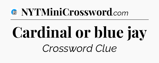 Cardinal or blue jay Crossword Clue