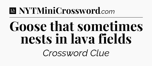 Goose that sometimes nests in lava fields - LA Times Crossword