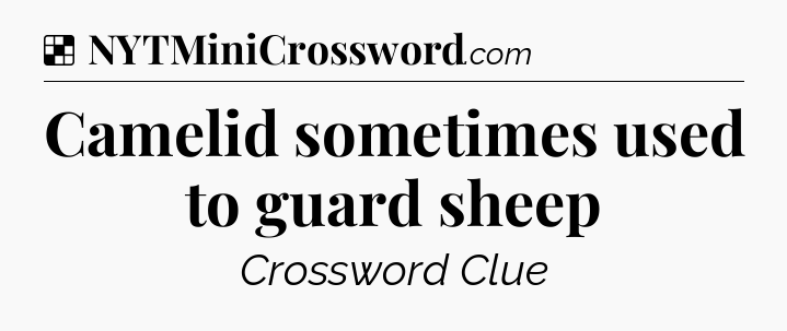 Solution: Camelid sometimes used to guard sheep - NYT Crossword