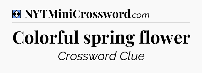 Solution: Colorful spring flower - NYT Mini Crossword