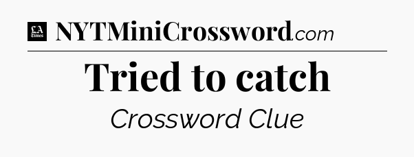 Tried to catch - LA Times Crossword