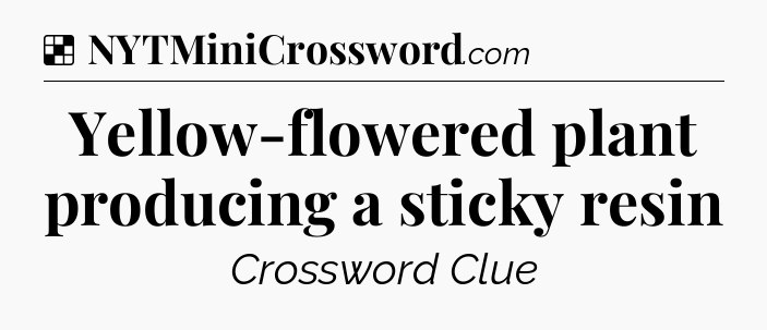 Solution: Yellow-flowered plant producing a sticky resin - NYT Crossword