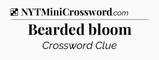 Solution: Bearded bloom - NYT Crossword
