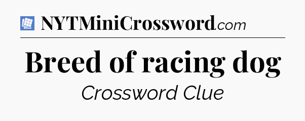 Breed of racing dog Puzzle Page Crossword Clue