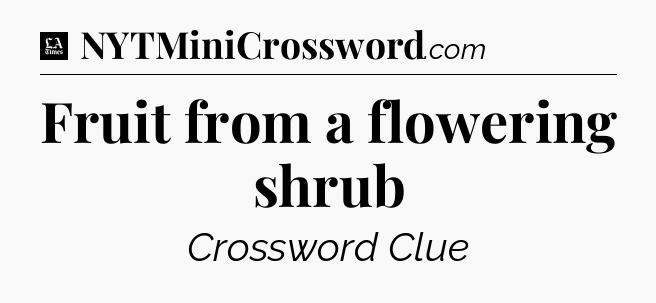 Fruit from a flowering shrub - LA Times Crossword