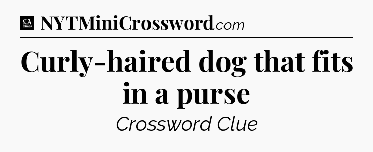 Curly-haired dog that fits in a purse - LA Times Crossword