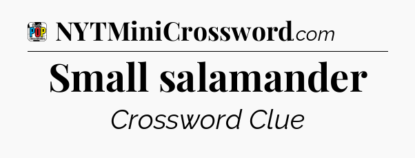 Small salamander Crossword Clue