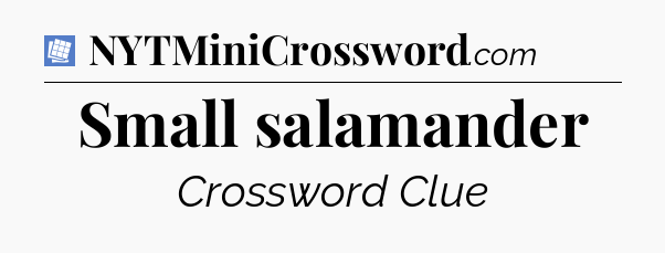 Small salamander Puzzle Page Crossword Clue