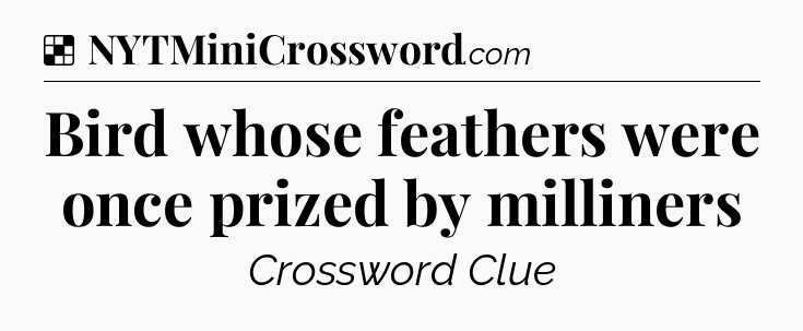 Solution: Bird whose feathers were once prized by milliners - NYT Crossword