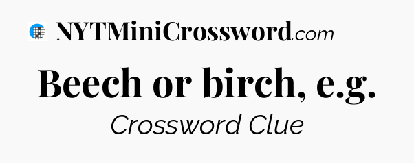 Beech or birch, e.g Crossword Clue