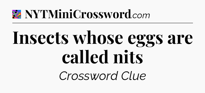Insects whose eggs are called nits Crossword Clue