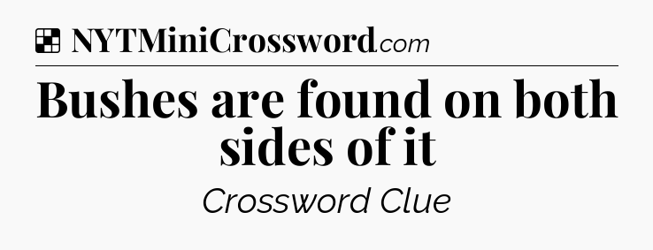 Solution: Bushes are found on both sides of it - NYT Crossword