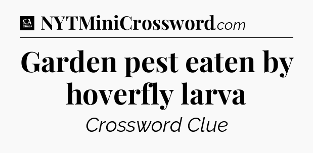 Garden pest eaten by hoverfly larva - LA Times Crossword