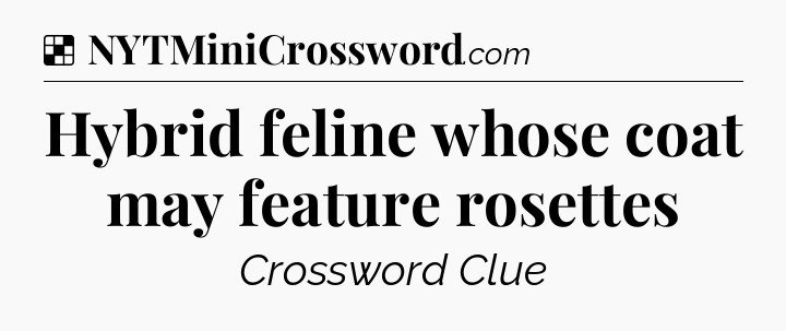Solution: Hybrid feline whose coat may feature rosettes - NYT Crossword