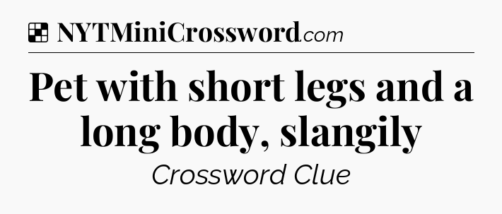Solution: Pet with short legs and a long body, slangily - NYT Crossword