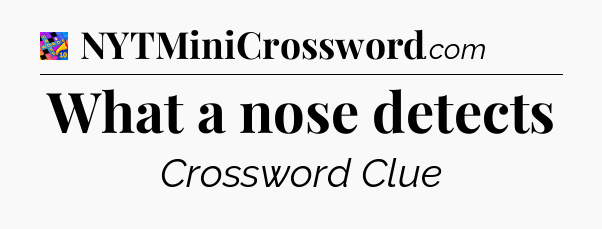 What a nose detects Crossword Clue