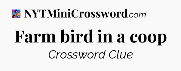 Farm bird in a coop Crossword Clue