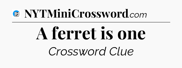 A ferret is one Crossword Clue