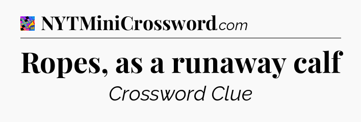 Ropes, as a runaway calf Crossword Clue