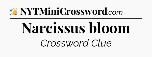 Narcissus bloom - 7 Little Words