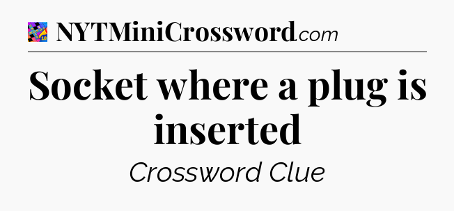 Socket where a plug is inserted Crossword Clue