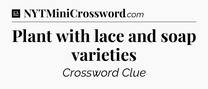 Plant with lace and soap varieties - LA Times Crossword