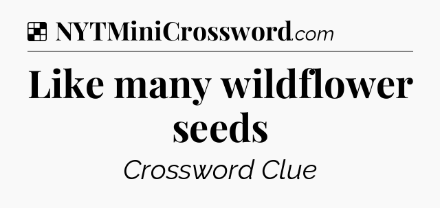 Solution: Like many wildflower seeds - NYT Crossword