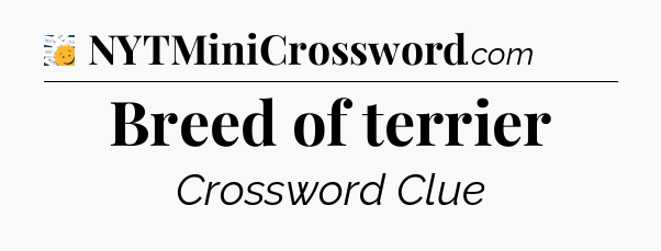 Breed of terrier - 7 Little Words