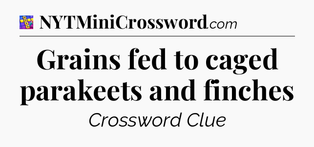 Grains fed to caged parakeets and finches Codycross