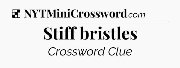 Solution: Stiff bristles - NYT Crossword