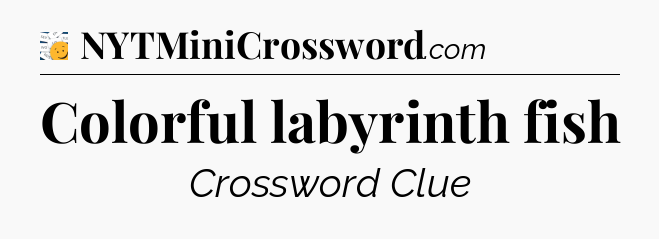 Colorful labyrinth fish - 7 Little Words