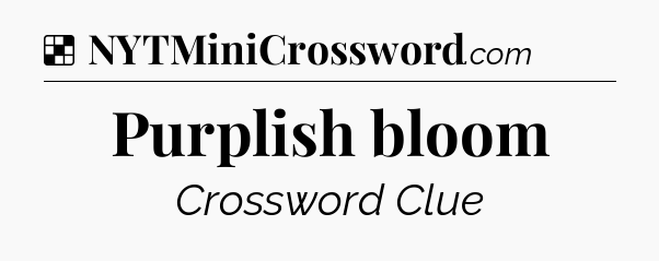 Solution: Purplish bloom - NYT Crossword