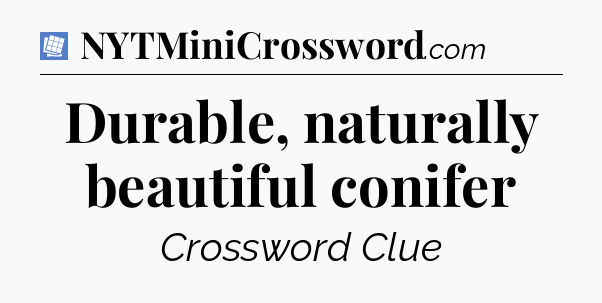 Durable, naturally beautiful conifer Puzzle Page Crossword Clue