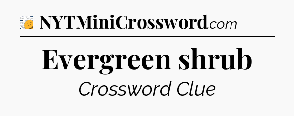 Evergreen shrub - 7 Little Words