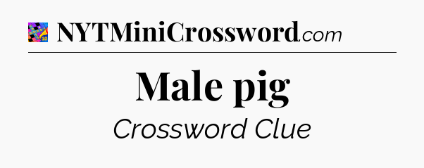Male pig Crossword Clue