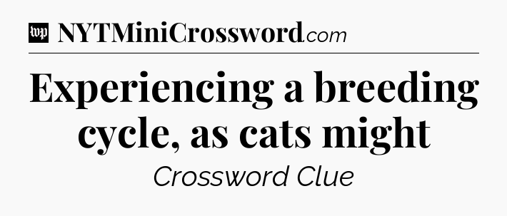 Experiencing a breeding cycle, as cats might Crossword Clue