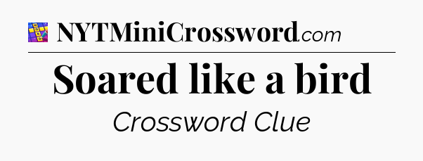 Soared like a bird Codycross