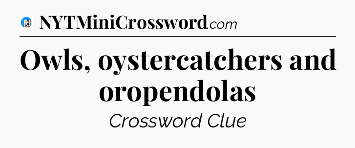 Owls, oystercatchers and oropendolas Crossword Clue