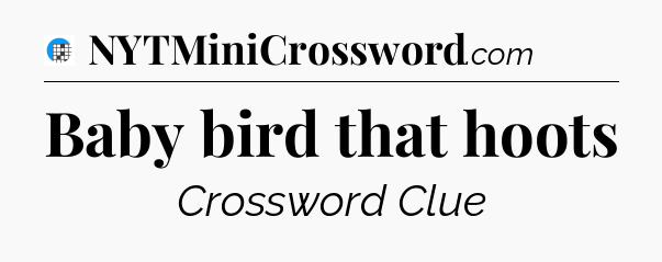 Baby bird that hoots Crossword Clue