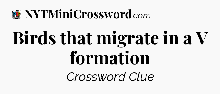 Birds that migrate in a V formation Crossword Clue