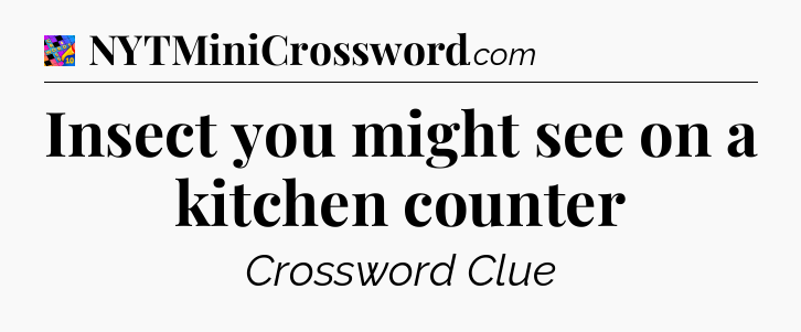 Insect you might see on a kitchen counter Crossword Clue