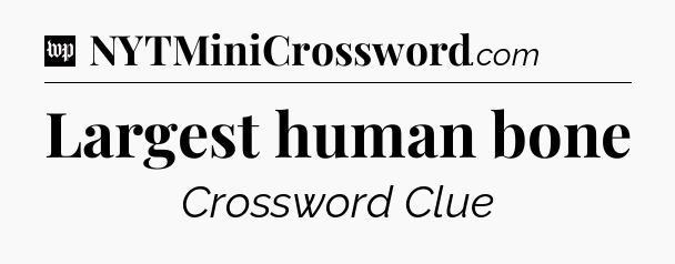 Largest human bone Crossword Clue