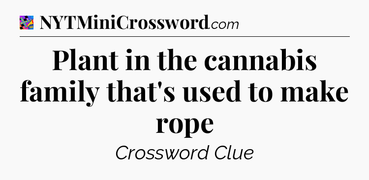 Plant in the cannabis family that's used to make rope Crossword Clue