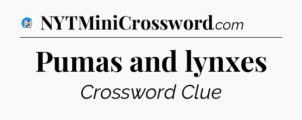 Pumas and lynxes Crossword Clue