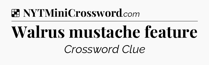 Solution: Walrus mustache feature - NYT Crossword