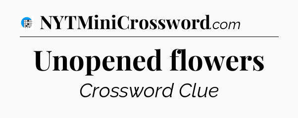 Unopened flowers Crossword Clue