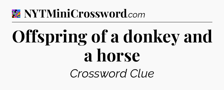 Offspring of a donkey and a horse Crossword Clue