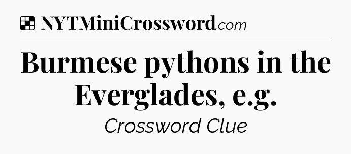 Solution: Burmese pythons in the Everglades, e.g - NYT Crossword