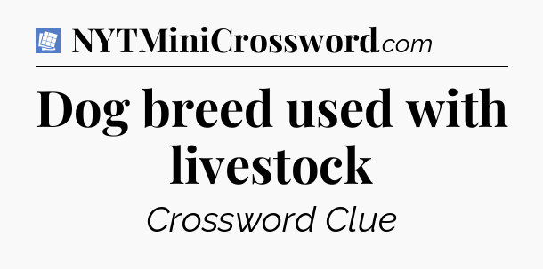 Dog breed used with livestock Puzzle Page Crossword Clue